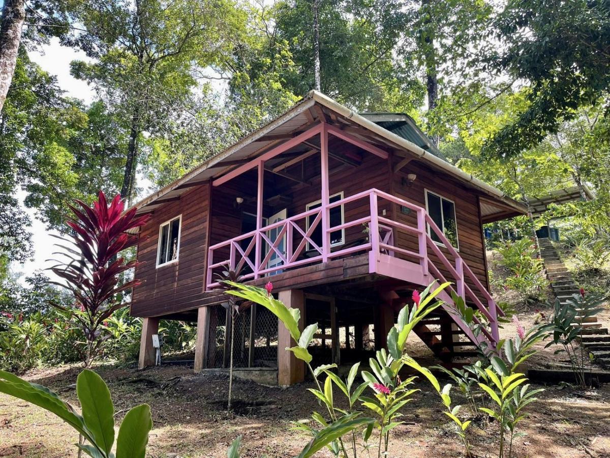Akwaba Lodge The Gap Exterior photo