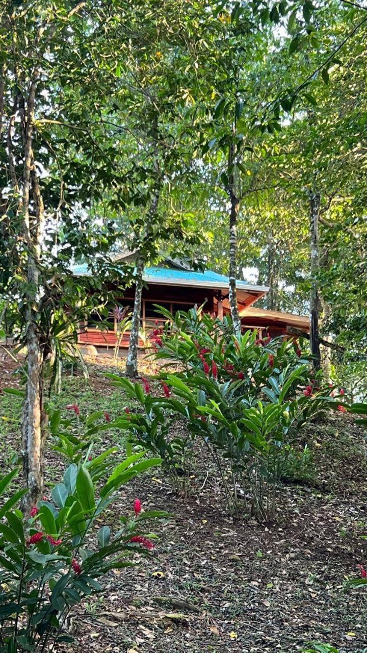 Akwaba Lodge The Gap Room photo